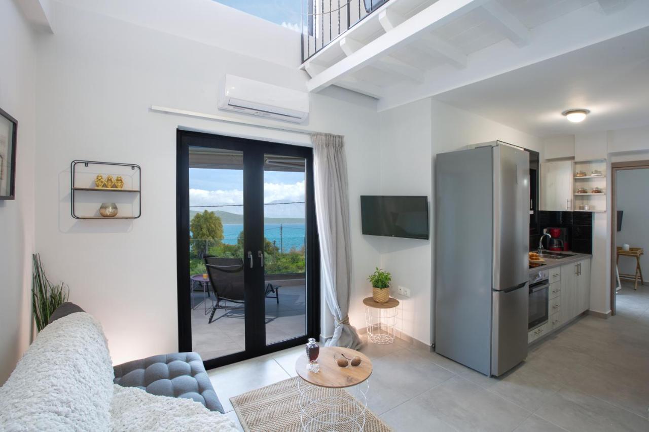 The Lefkadian Collection G And N Villa Nikiana Bagian luar foto